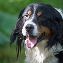 Ben
