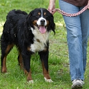 Ben