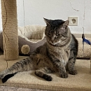 Hugo