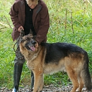 Goliath