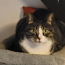 Julio