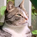 Julio