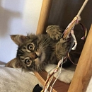 Molly