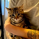 Fred