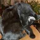 Nina