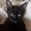 Nina