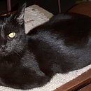 Nina
