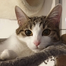 Mimi