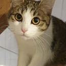 Mimi