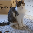 Mimi