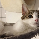 Mimi