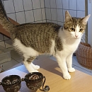 Mimi