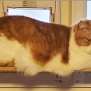 Moritz