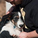 Linus
