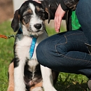Linus