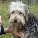 Hugo
