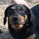 Siska (Eva)