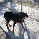 Siska (Eva)
