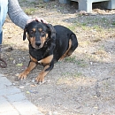 Siska (Eva)