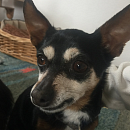 Bella