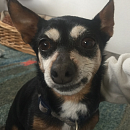 Bella