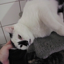 Casper