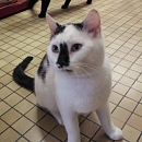 Casper