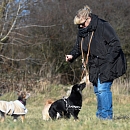 Lizzy, die Verschmuste