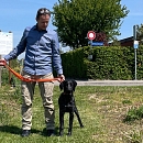 Bimba