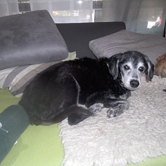 News von Cindy & Milly