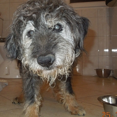 Edgar (Eddi)