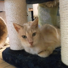 Melvin
