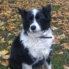 Winnie