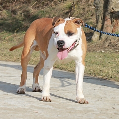 Lola 2