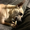 Toffee
