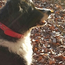 Winnie