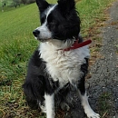 Winnie