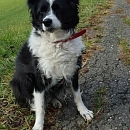 Winnie
