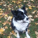 Winnie