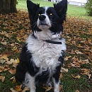 Winnie