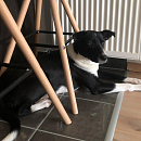 Mia