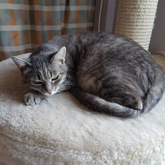Magda