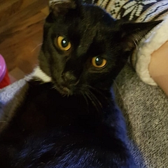 Oskar