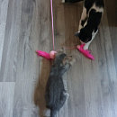 Lotti