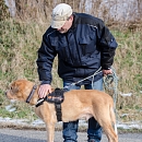 Sascha