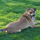 Riley