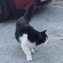 Bouba