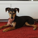 Maxi