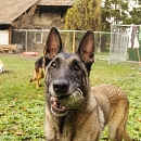 Kira