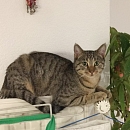 Charlie